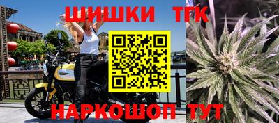 гидра Камышлов