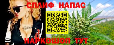 гидра Камышлов