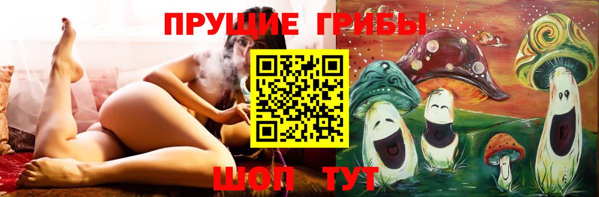 Вологда  Галлюциногенные грибы Psilocybe  Вход с VPN 